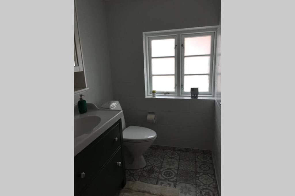 Gammelt Mando Hus Hyggebo Daire Ribe Dış mekan fotoğraf